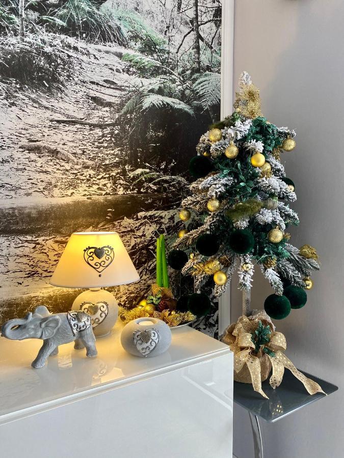 Apartament Dzika Paproc Szczawnica Dış mekan fotoğraf